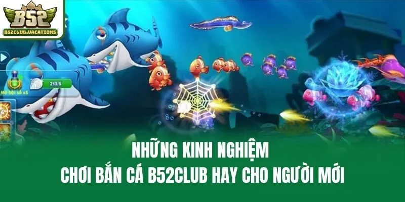 Những Kinh Nghiệm Chơi Bắn Cá B52club Hay Cho Người Mới