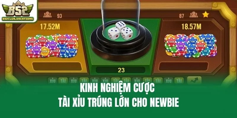 Kinh nghiệm cược tài xỉu trúng lớn cho newbie
